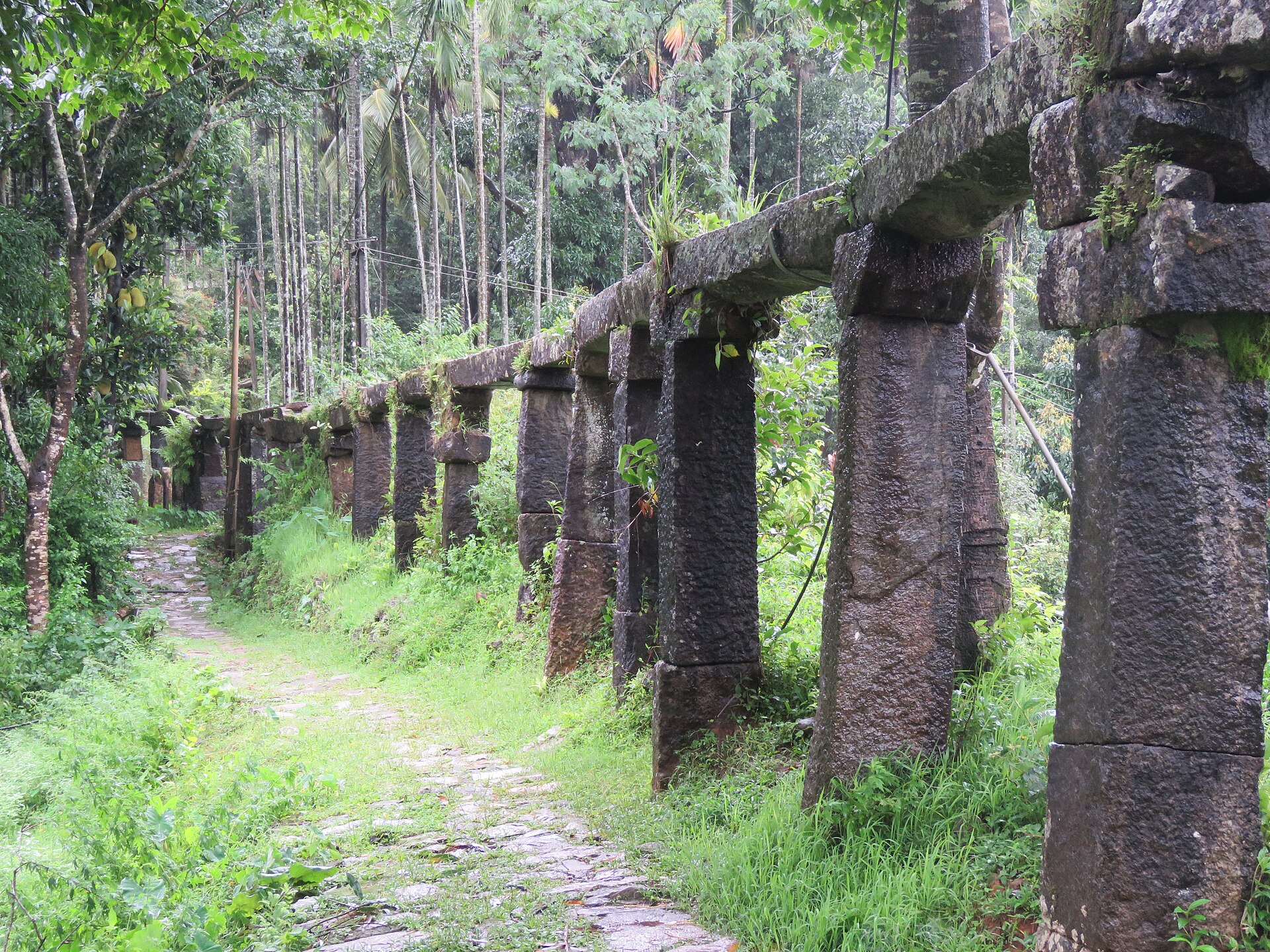 The stone aqueduct running through the forest at Thirunelly
