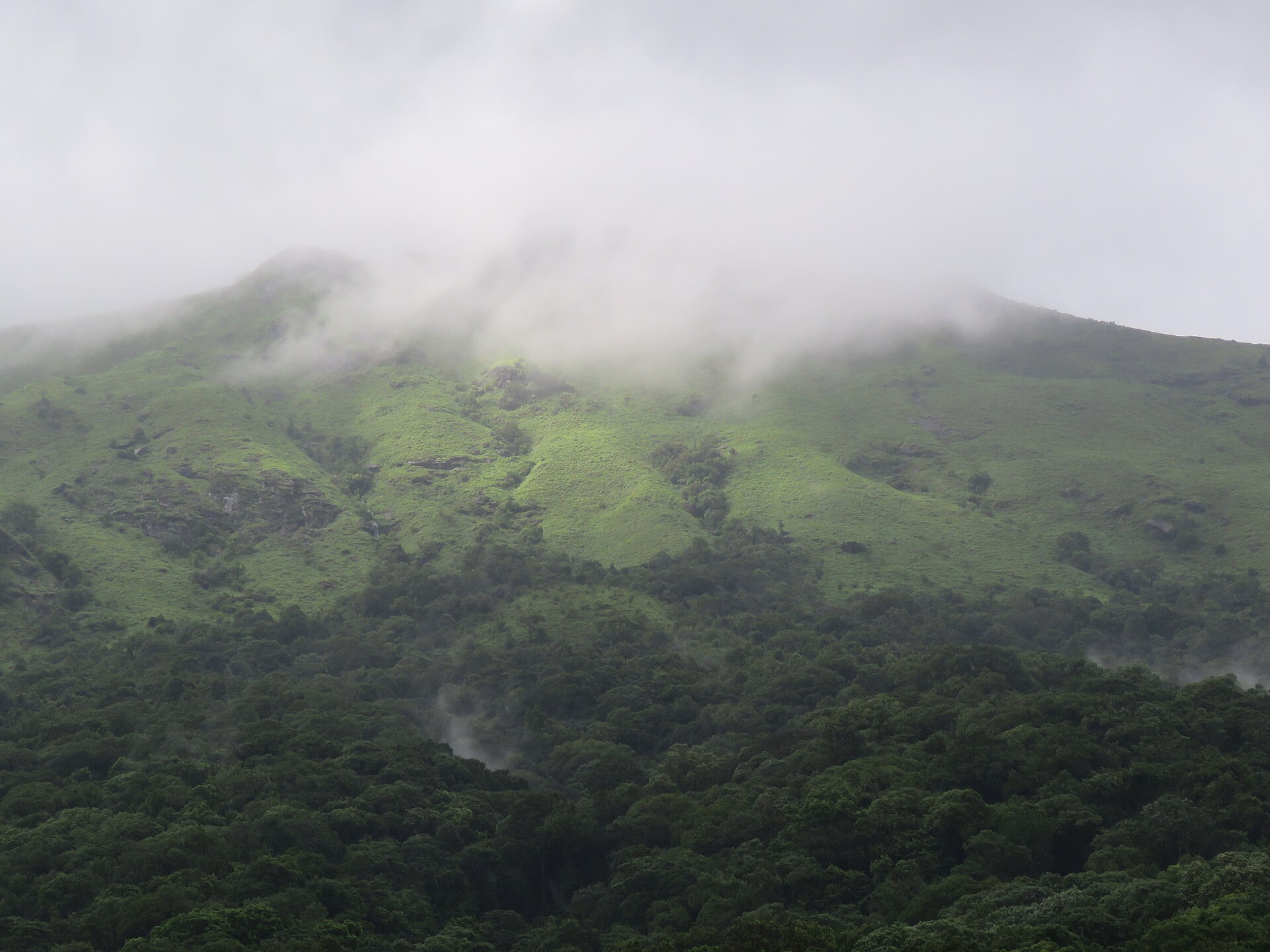 Mist over the Brahmagiri hills