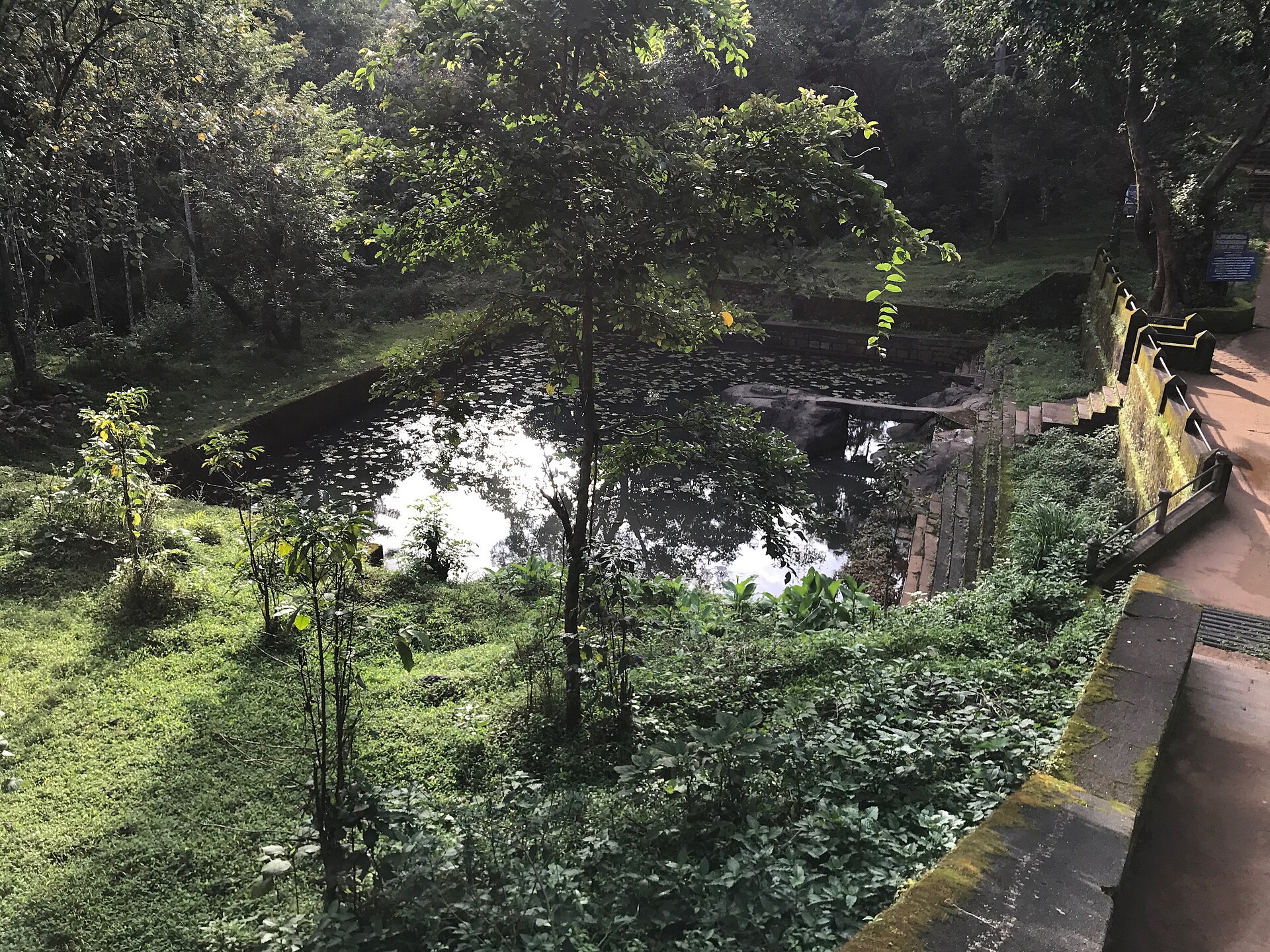 The temple tank in the forest
